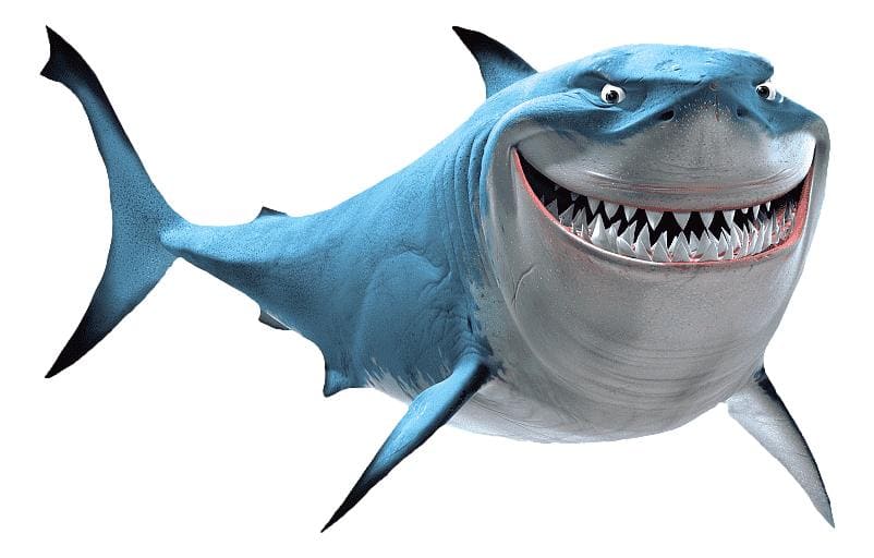 ブルース（サメトリオ）