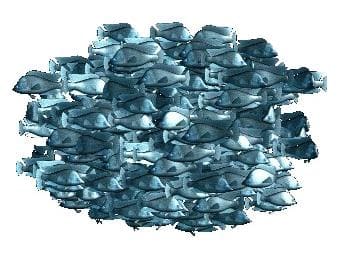 ムーンフィッシュ