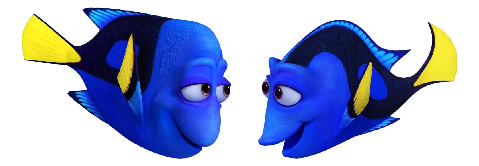 チャーリー&ジェニー