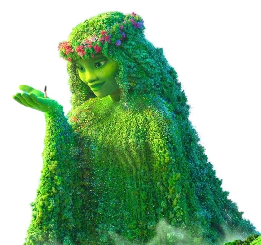 テ・フィティ（テ・カァ）