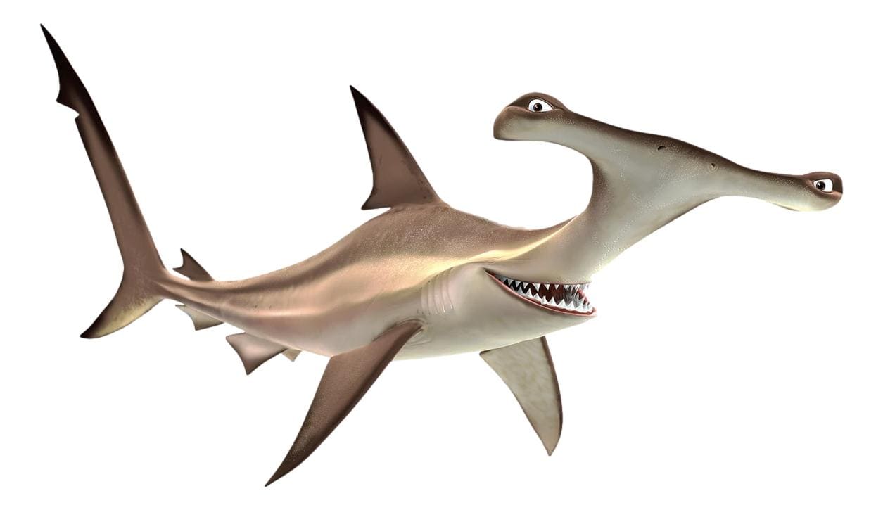 アンカー（サメトリオ）